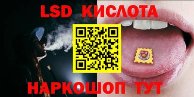 PSILOCYBIN Краснодар