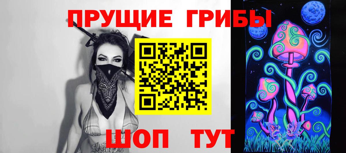 Унеча  Псилоцибиновые грибы мицелий  где можно купить   Галлюциногенные грибы мицелий  Вход с VPN 